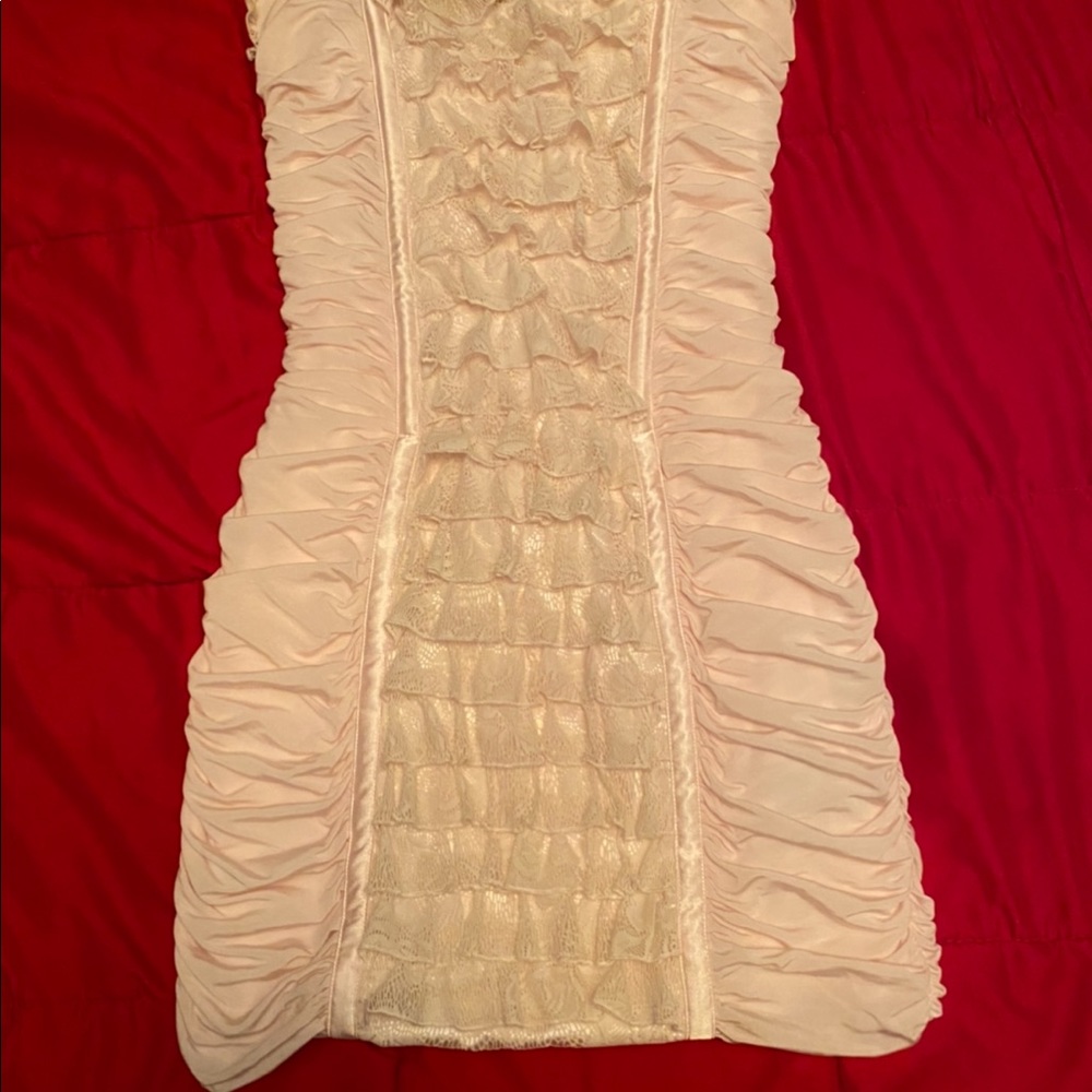 Bebe Mini Dress